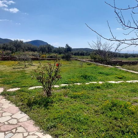 “Villa Othon-Leni” Paralia Demonias Eksteriør billede