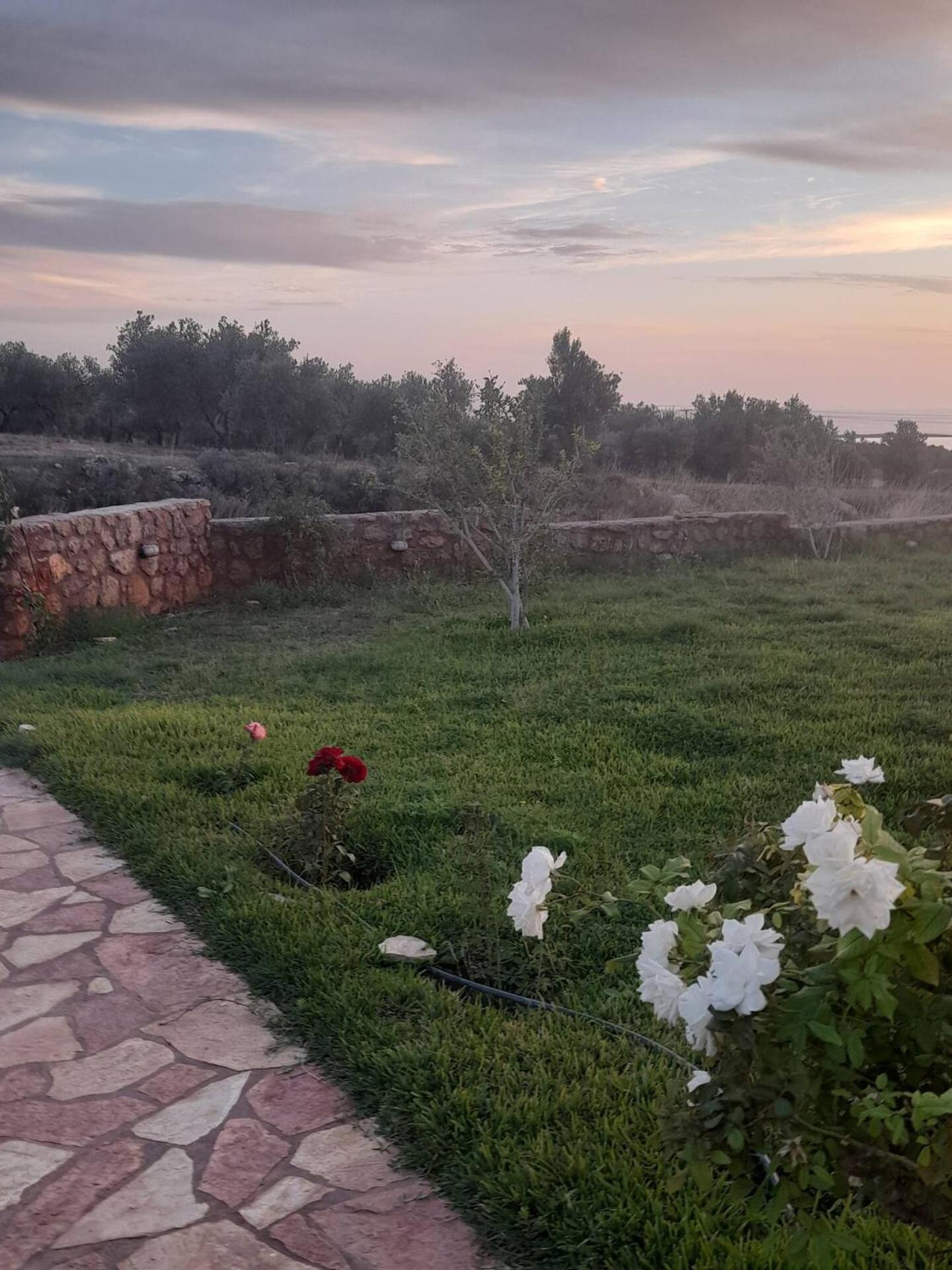 “Villa Othon-Leni” Paralia Demonias Eksteriør billede